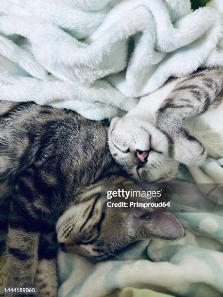 Sleep tight sleep tight