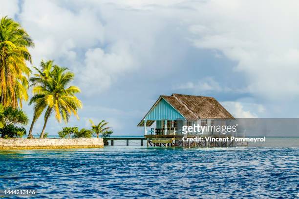 rangiroa atoll - rangiroa atoll stock pictures, royalty-free photos & images