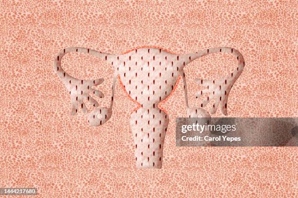 uterus in paper cutting style - cervix stock illustrations stock pictures, royalty-free photos & images