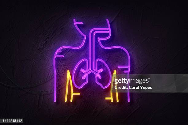 internal organs in neon style.human shape - human face anatomy stock pictures, royalty-free photos & images