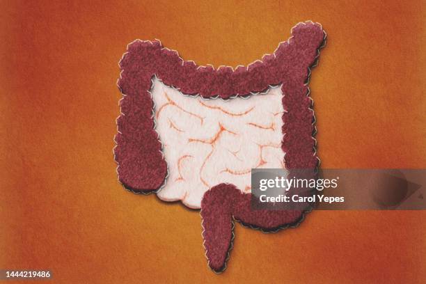 gastroenterology, healthy digestion, microbiome intestine concept - cartoon cancer fotografías e imágenes de stock