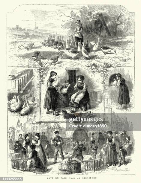 Foie Gras Pate High Res Illustrations Getty Images Foie Gras Pate High Res Illustrations Getty Images