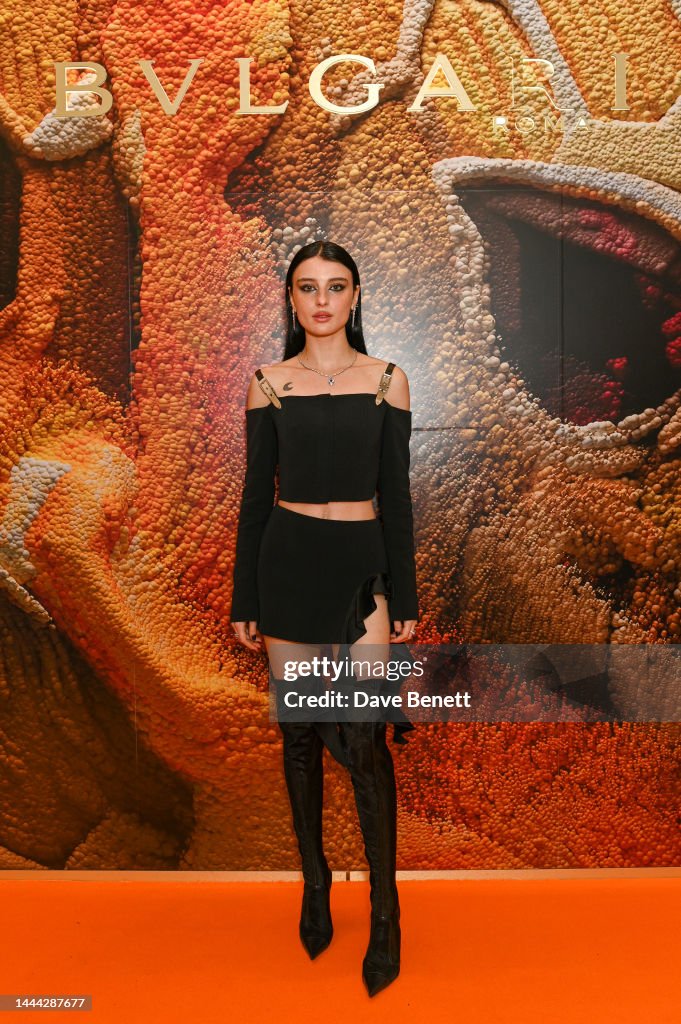 https://media.gettyimages.com/id/1444287677/photo/bulgari-serpenti-metamorphosis-immersive-experience-exhibition-launch-event.jpg?s=1024x1024&w=gi&k=20&c=LdMRVggm7vG17PJ5UODSgqimzgwslSPNMWL2D2IFhQA=