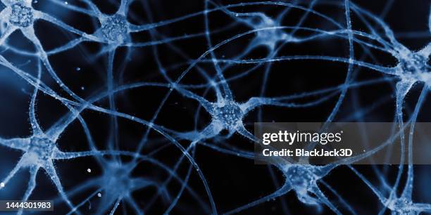 neurons microscope slide - synapse stockfoto's en -beelden