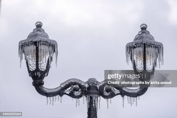 a frozen wrought iron lamp post - vladivostok city stock pictures, royalty-free photos & images