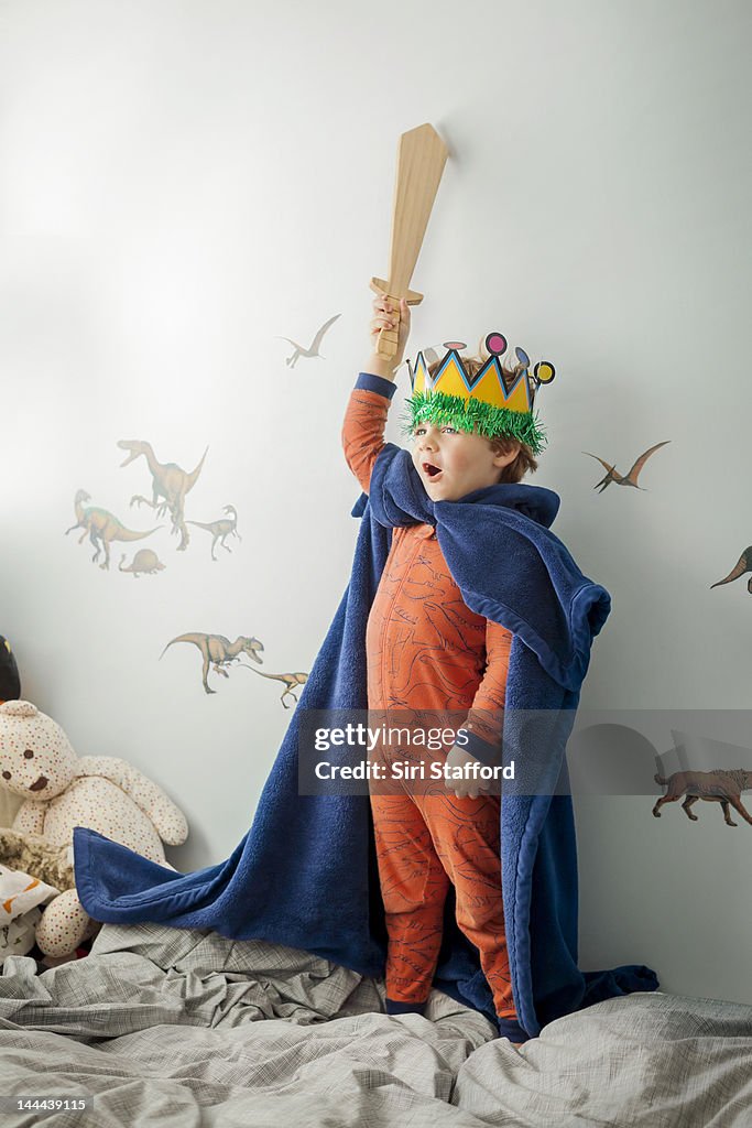 Young Boy dressed up in homemade king costume