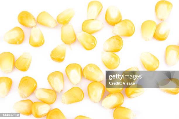 corn strewn on a tabletop - grain de maïs photos et images de collection