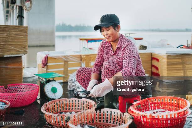 mid adult woman preparing fish for sale at fishmarket in vietnam - pretty vietnamese women 個照片及圖片檔