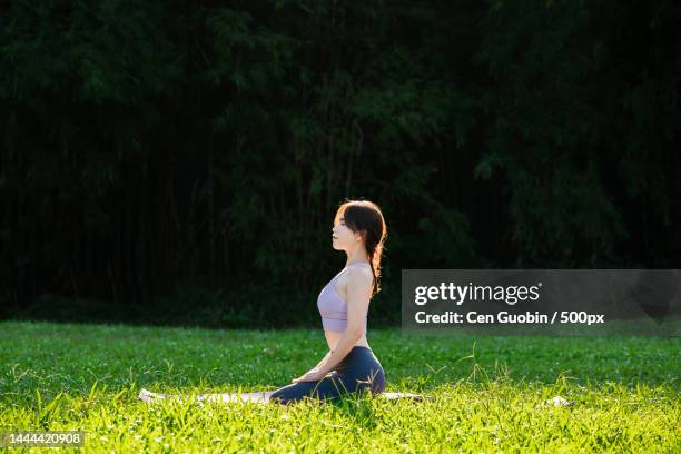 girls practising yoga - flagpole sitting stockfoto's en -beelden