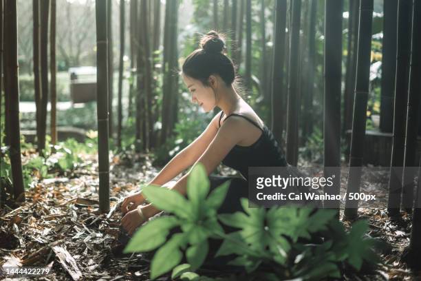 a fresh girl doing yoga in the woods - image stock pictures, royalty-free photos & images
