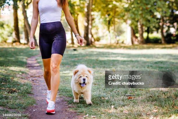 handsome young woman walking with dog in public park - puppy chow stock pictures, royalty-free photos & images