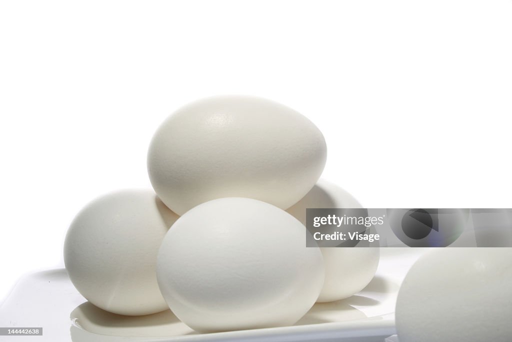 Studio shot of eggs in a tray