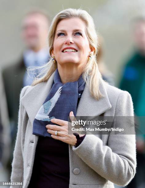 Sophie, Countess of Wessex visits ZSL London Zoo on November 24, 2022 in London, England. During her visit the countess toured the zoo's newest...