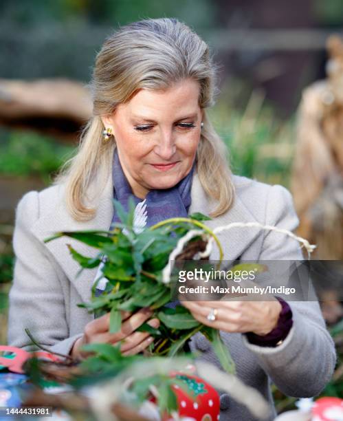 Sophie, Countess of Wessex helps make edible Christmas wreaths for Ring-Tailed Lemurs as she visits ZSL London Zoo on November 24, 2022 in London,...