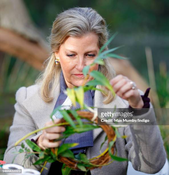 Sophie, Countess of Wessex helps make edible Christmas wreaths for Ring-Tailed Lemurs as she visits ZSL London Zoo on November 24, 2022 in London,...