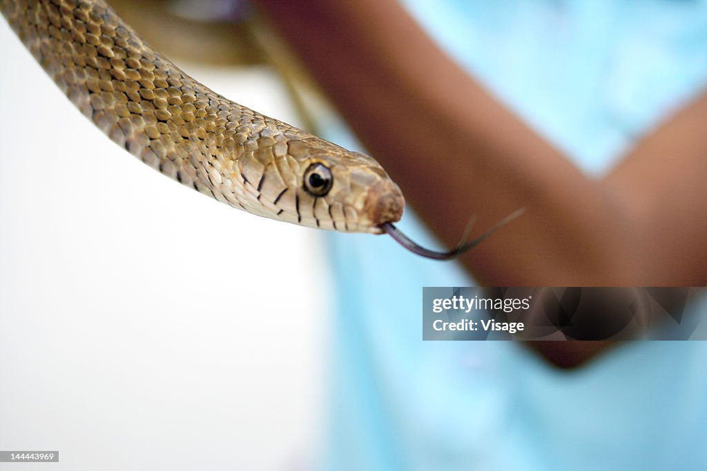 A person displaying a snake