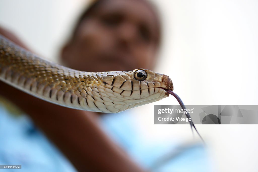 A person displaying a snake