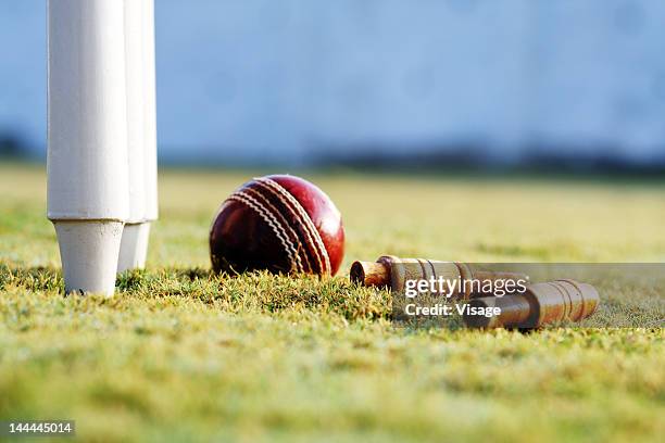 partial view of the cricket stumps and a ball - visage close up stock pictures, royalty-free photos & images