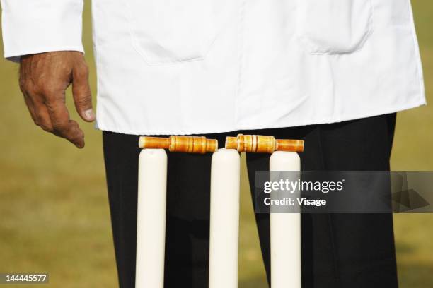 umpire standing behind the stumps - cricket umpire stock pictures, royalty-free photos & images