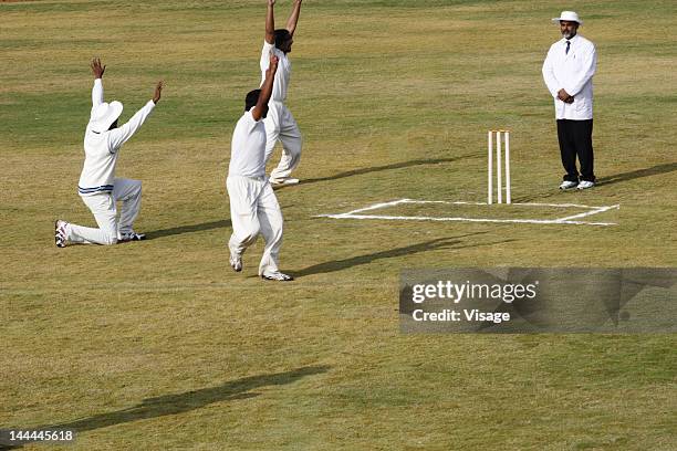 bowler and fielder appealing to the umpire - cricket umpire stock pictures, royalty-free photos & images