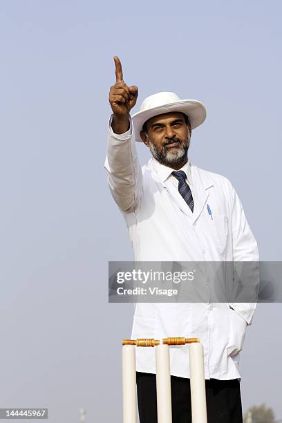 an umpire signaling out - cricket umpire stock pictures, royalty-free photos & images