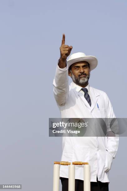 an umpire signaling out - cricket umpire stock pictures, royalty-free photos & images