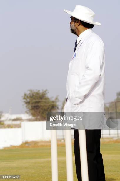 side view of an umpire - cricket umpire foto e immagini stock