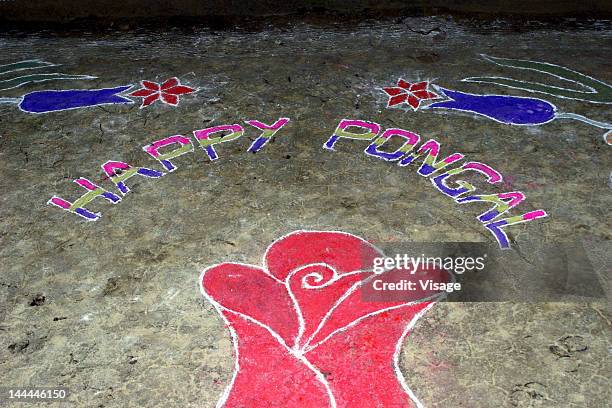 close-up of a rangoli - pongal festival stock pictures, royalty-free photos & images