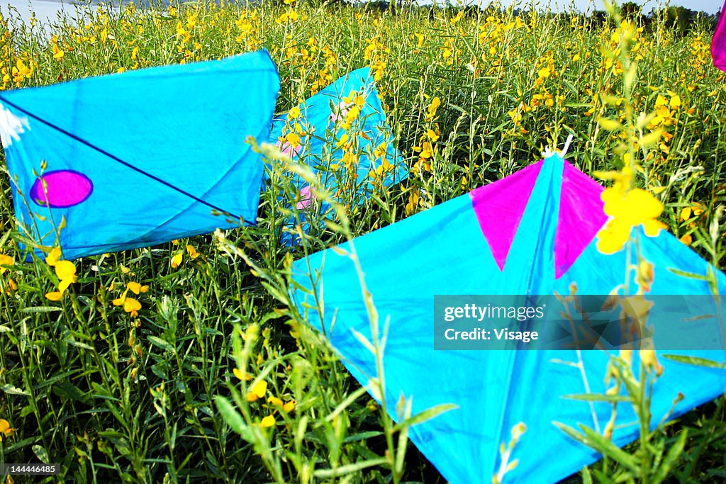 Colourful kites in a field