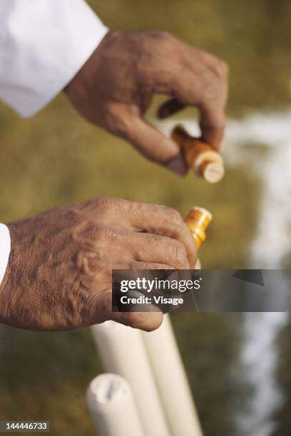 an umpire removing the bails - cricket umpire foto e immagini stock