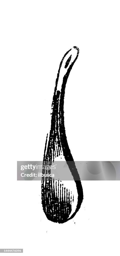 Antique engraving illustration: Shoehorn