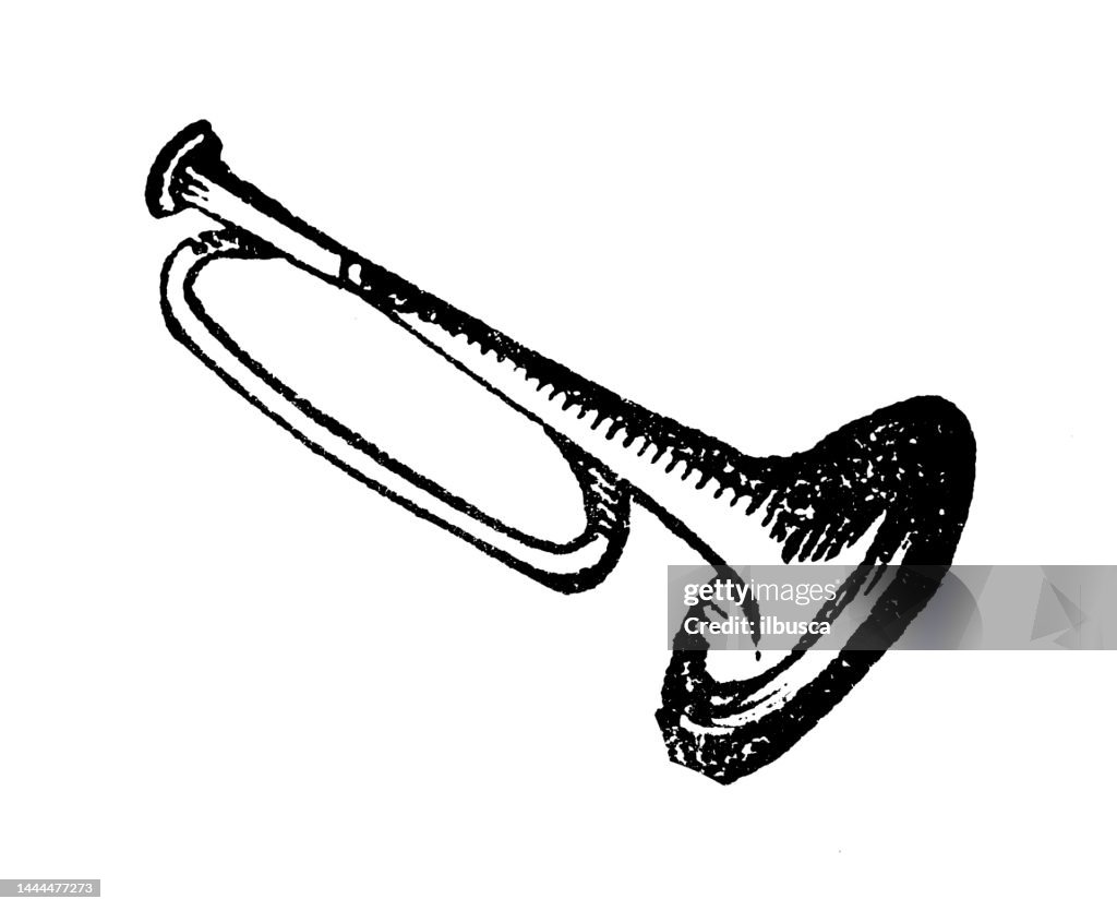 Bugle Instruments Drawing Antique Engraving Illustration Bugle High-Res Vector Graphic - Getty Images