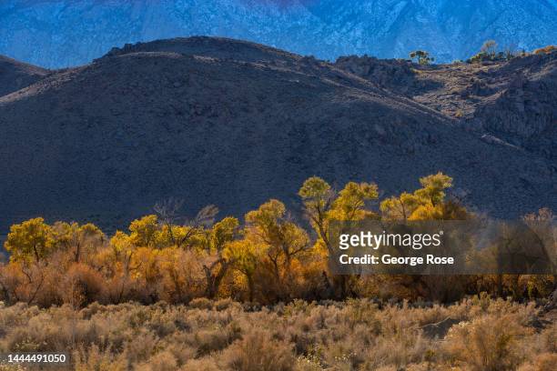 The Sierra Nevada mountain range is viewed from the scenic Alabama Hills on November 14 near Lone Pine, California. Home to the famed Alabama Hills...