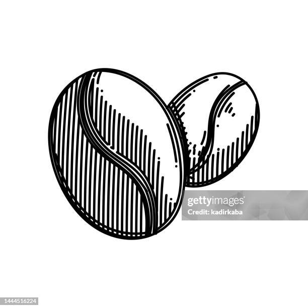 coffee beans line icon, sketch design, pixel perfect, editable stroke. coffee - espresso machine vector stock illustrations