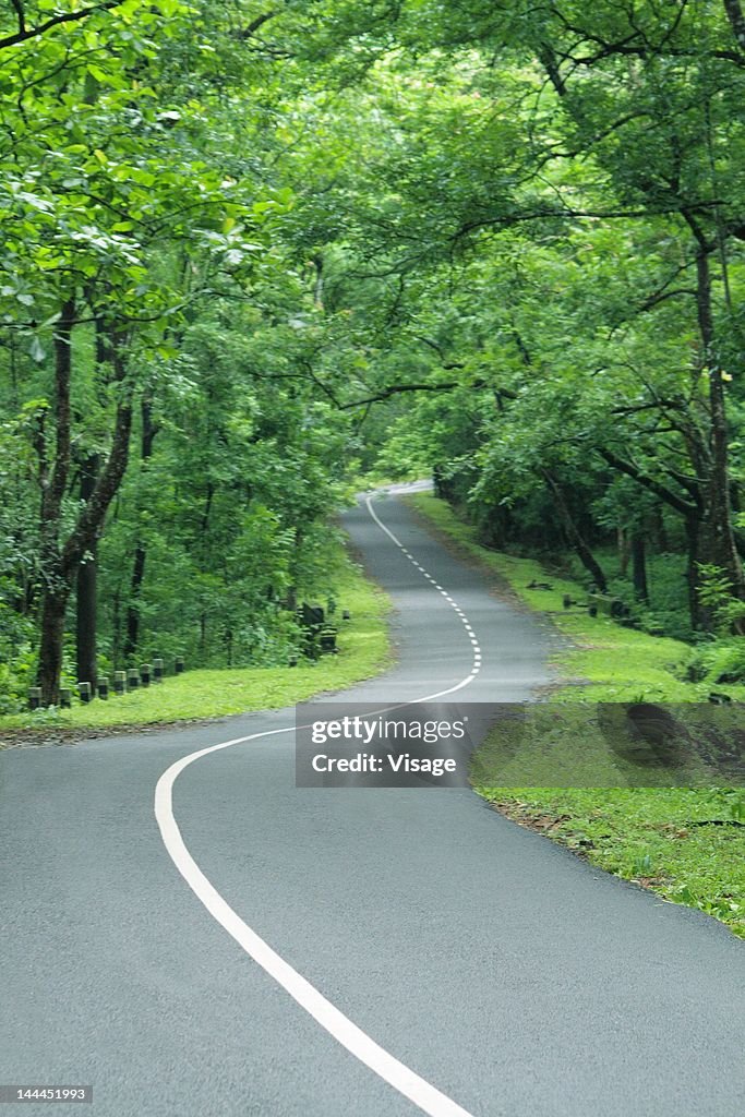 Scenic view of a road