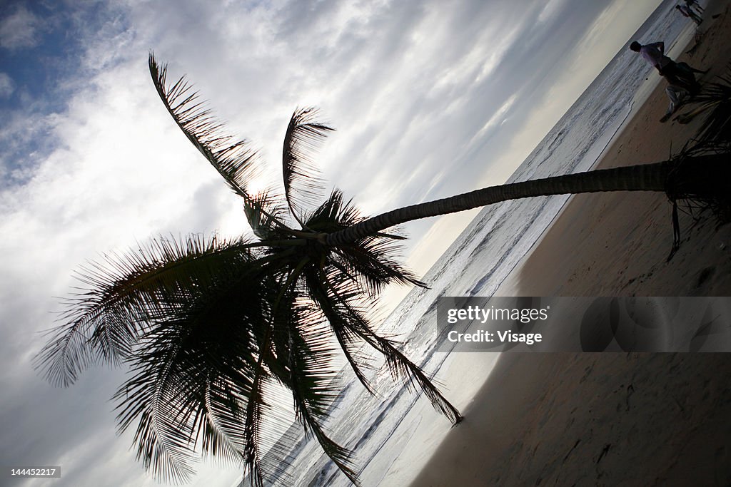 Scenic view of a beach