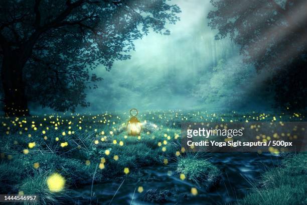 dreamlike fairytale with illuminated lantern and fireflies in forest,indonesia - new fantasyland stock pictures, royalty-free photos & images