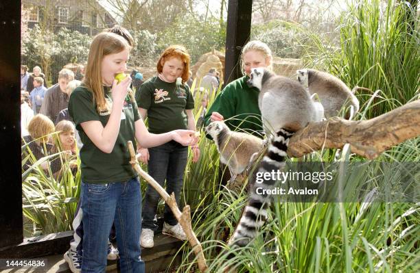 Planet Cook Roxy Avilon Zoo Photos and Premium High Res Pictures - Getty Images