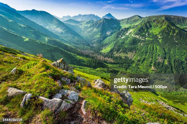 beautiful dawn in the tatras mountains,poland,europe,united states,usa - karpaten stock-fotos und bilder