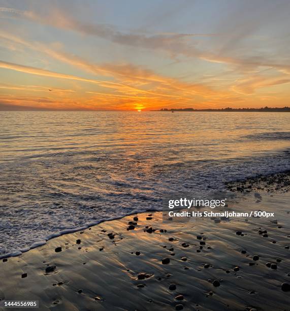 Mar Con Rio 239 Rio Del Mar Stock Photos, High-Res Pictures, and Images - Getty Images