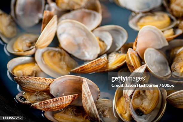 fresh vongole macro background texture vongole,united states,usa - clams cooked stock-fotos und bilder