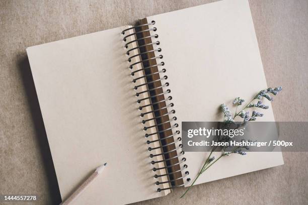 dry flower with blank notebook on color background,united states,usa - blank book on desk stock-fotos und bilder
