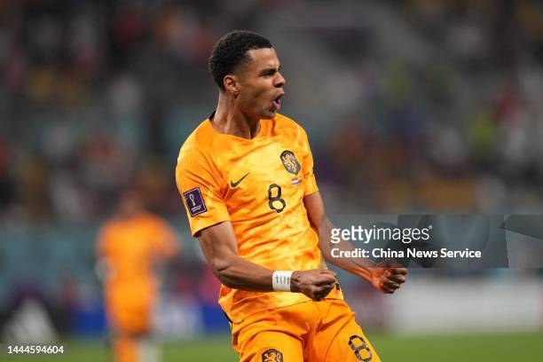 Cody Gakpo of Netherlands celebrates after scoring his team's first goal during the FIFA World Cup Qatar 2022 Group A match between Netherlands and...