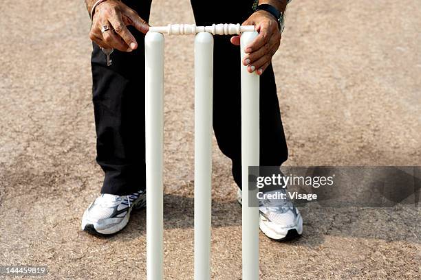 partial view of umpire adjusting bails on wickets - cricket umpire foto e immagini stock