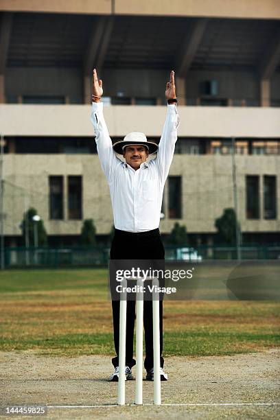 cricket umpire signaling six - cricket umpire foto e immagini stock