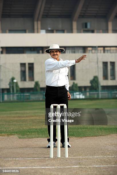 cricket umpire signaling four - cricket umpire foto e immagini stock