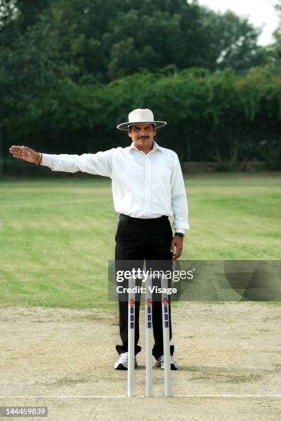 cricket umpire signaling four - cricket umpire foto e immagini stock