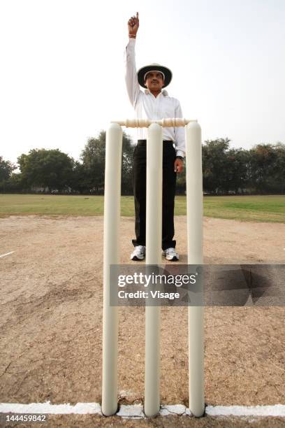 cricket umpire signaling out - cricket umpire stock pictures, royalty-free photos & images