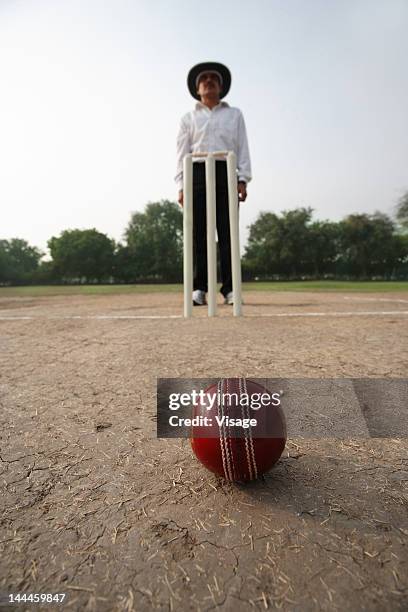 close up of a cricket ball on pitch, umpire in background standing behind wickets - cricket umpire stock pictures, royalty-free photos & images