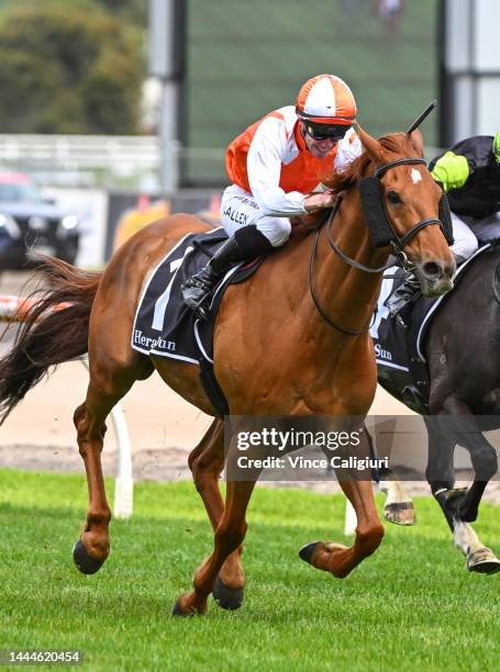 John Allen riding Vow And Declare winning Race 7, the Herald Sun Zipping Classic, during Melbourne Racing at Caulfield Racecourse on November 26,...